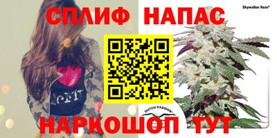 mdpv Ставрополь