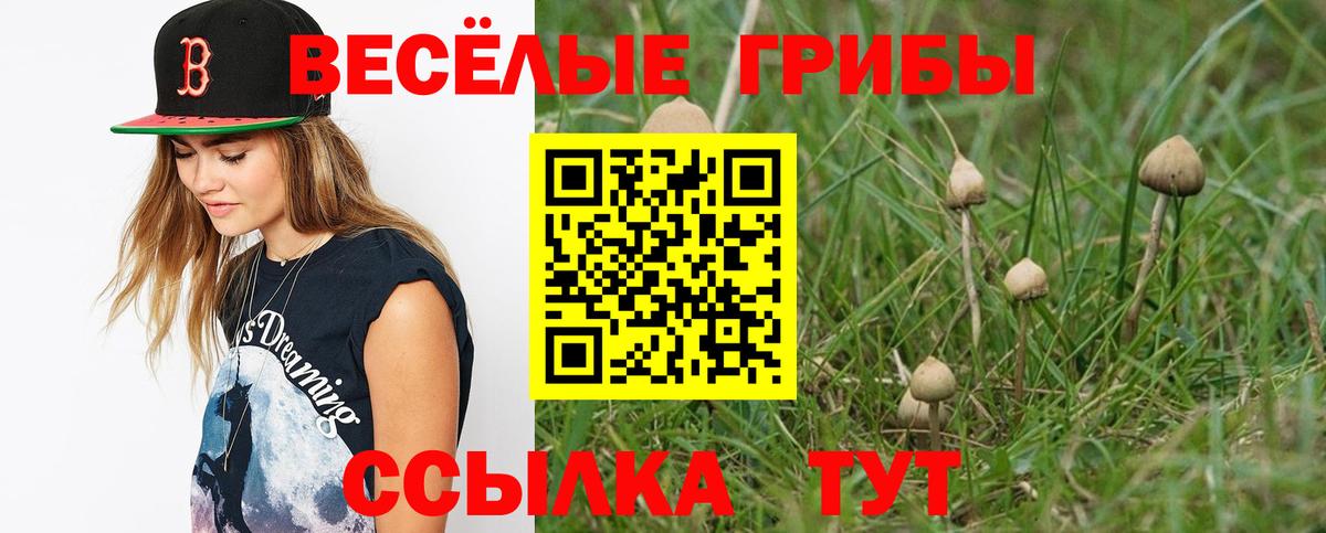 Галлюциногенные грибы мухоморы Новый Уренгой